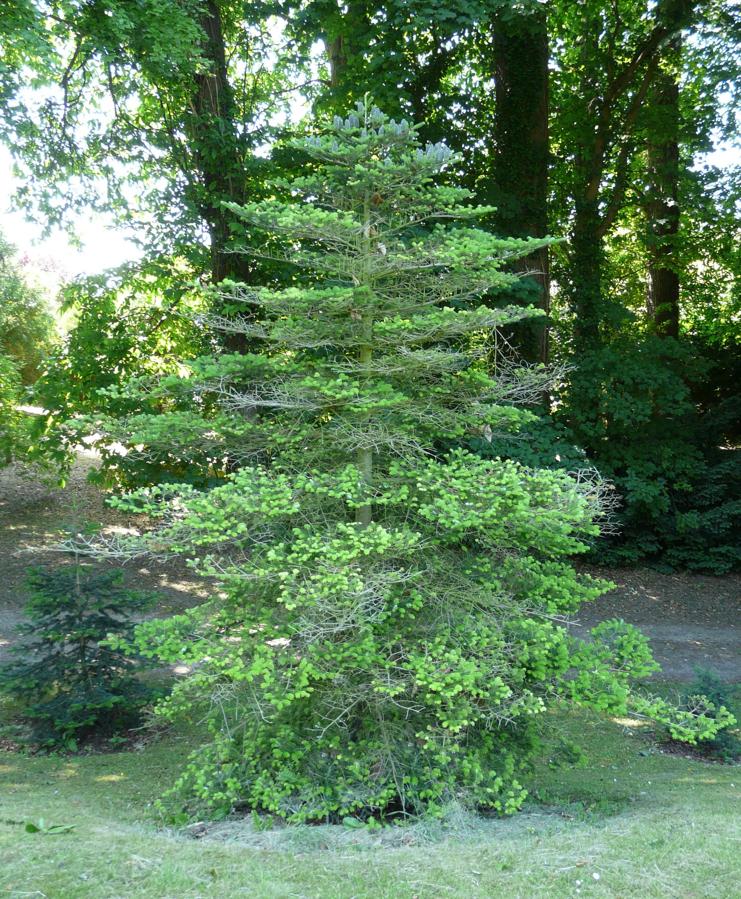 TSB95630.webp